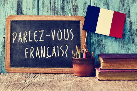 Immagine corso FRANCESE liv.5 (B1/1)